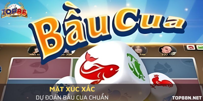 Mách bạn 5+ mẹo đánh bầu cua online cực hay từ cao thủ Dự đoán mặt xúc xắc khi xóc bầu cua