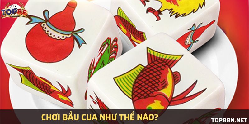 Hướng dẫn chơi bầu cua tại Top88 trong tích tắc Tìm hiểu khái niệm bầu cua trực tuyến hot nhất hiện nay